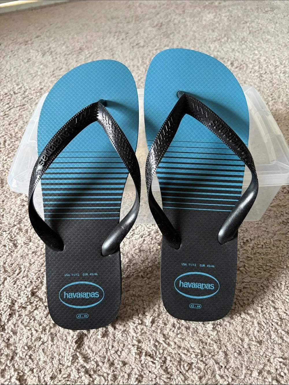 Havaianas Black Straps with Blue Footbed Flip Flops